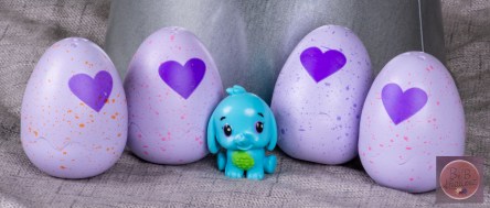 mfm Hatchimals-2604