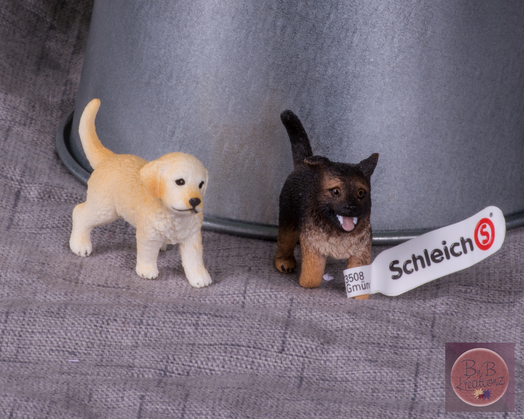 mfm schliech puppy-2614