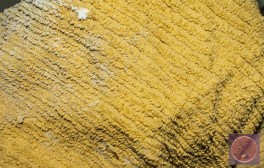 plaster wall bakery-0522